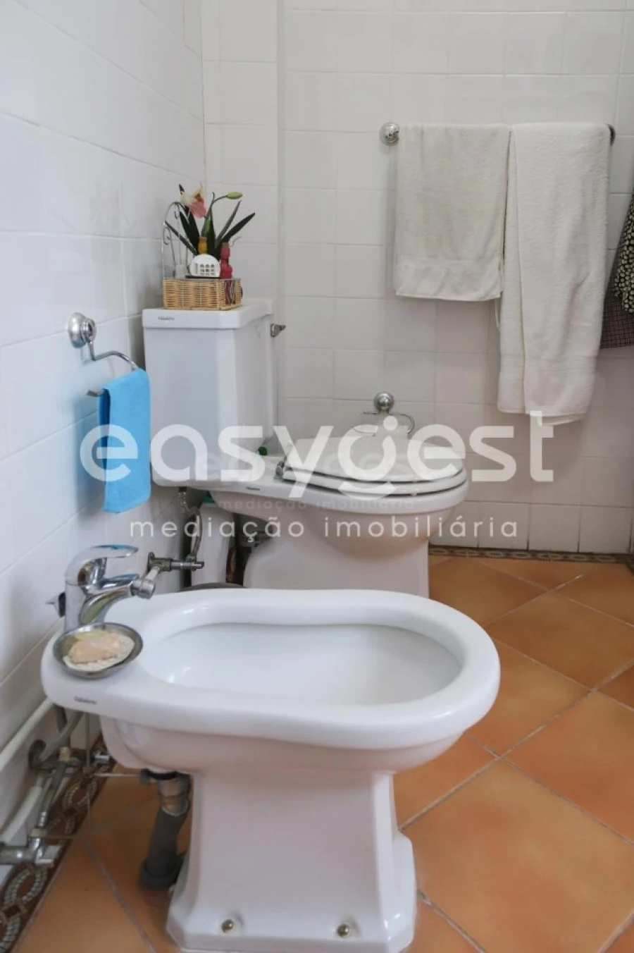 Quinta T1 para Venda em Castelo Mendo, Ade, Monteperobolso e Mesquitela Foto 58