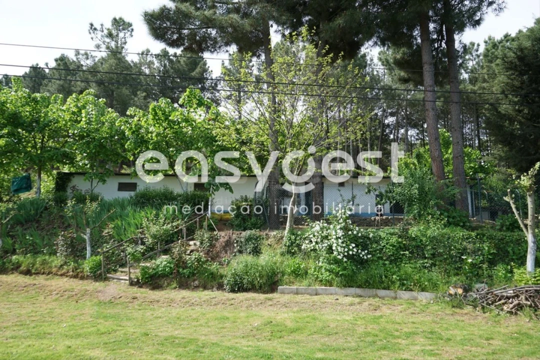 Terreno Misto para Venda em Rapa e Cadafaz Foto 21