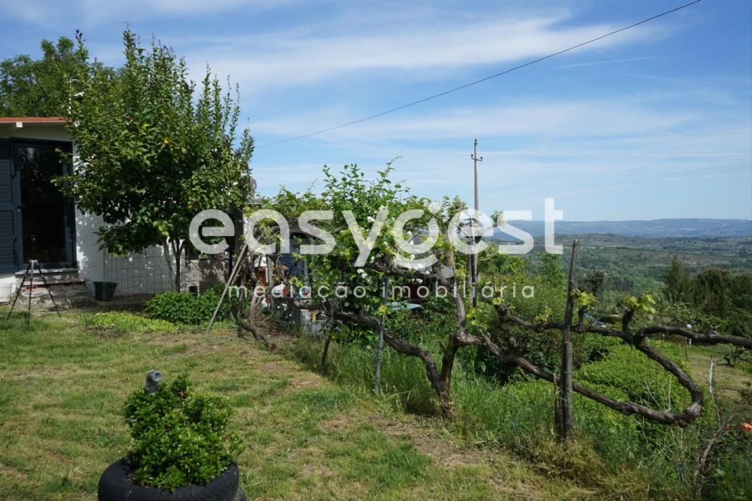 Terreno Misto para Venda em Rapa e Cadafaz Foto 23