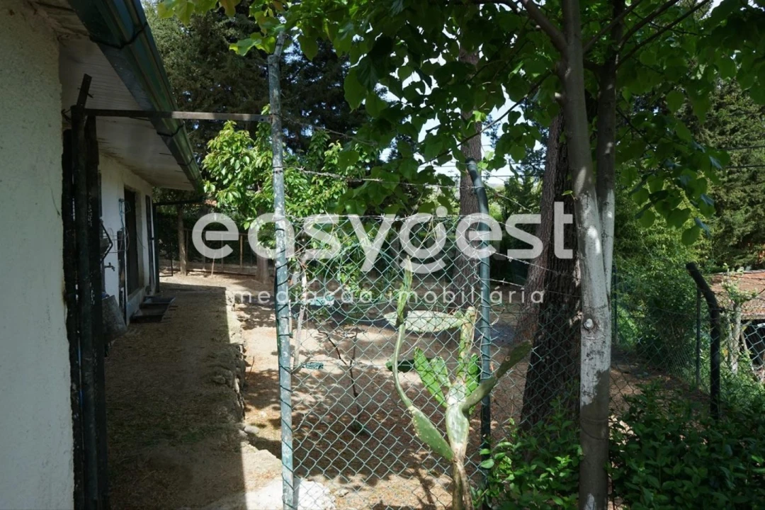 Terreno Misto para Venda em Rapa e Cadafaz Foto 25