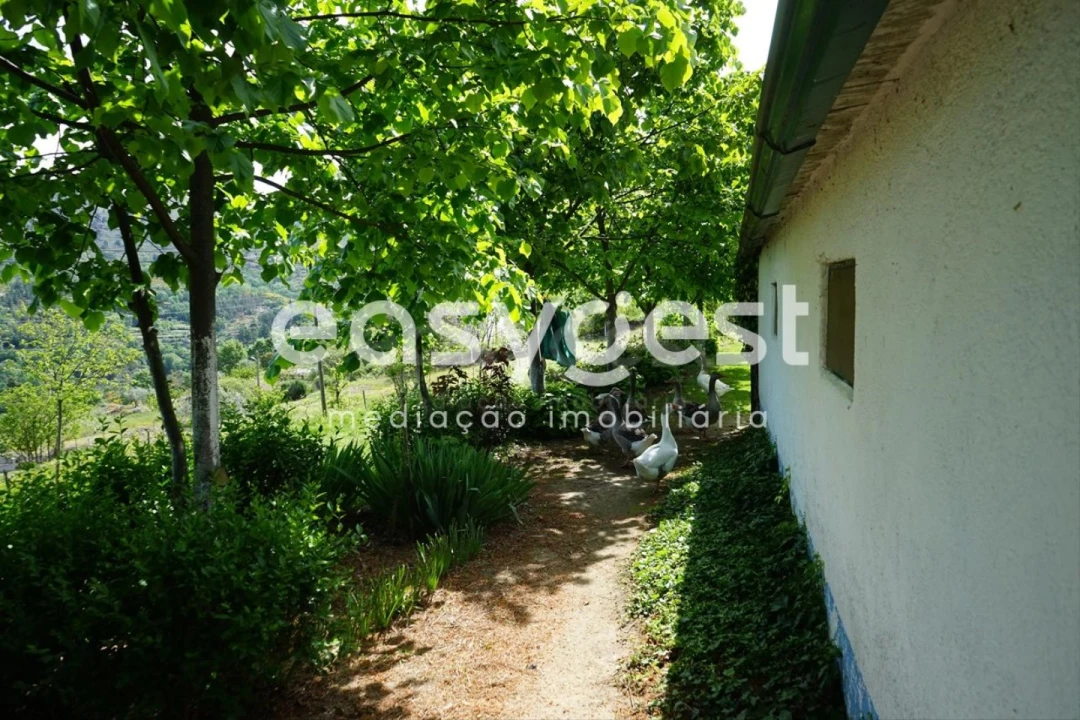 Terreno Misto para Venda em Rapa e Cadafaz Foto 29