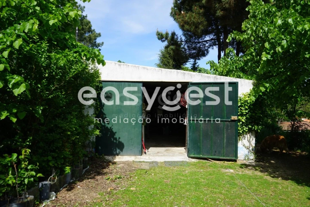 Terreno Misto para Venda em Rapa e Cadafaz Foto 31