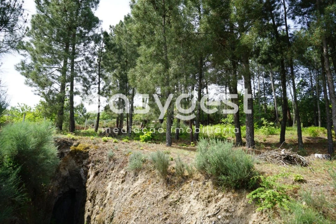 Terreno Misto para Venda em Rapa e Cadafaz Foto 36