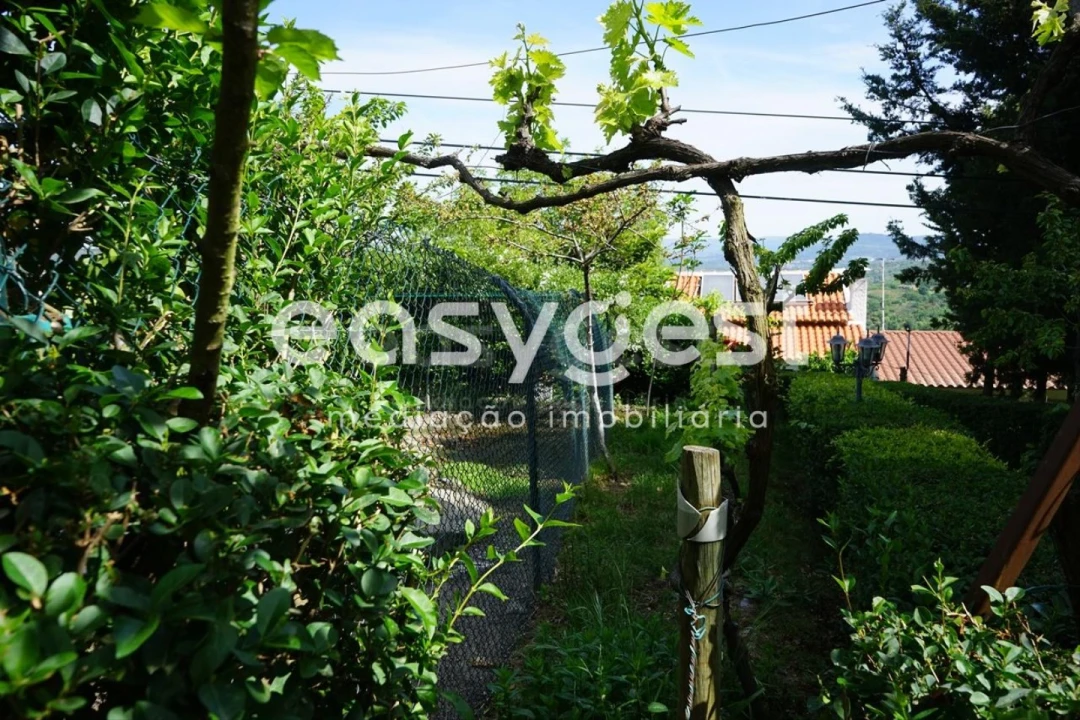 Terreno Misto para Venda em Rapa e Cadafaz Foto 41