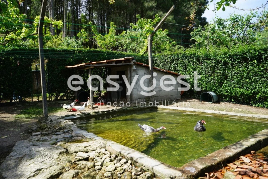 Terreno Misto para Venda em Rapa e Cadafaz Foto 43