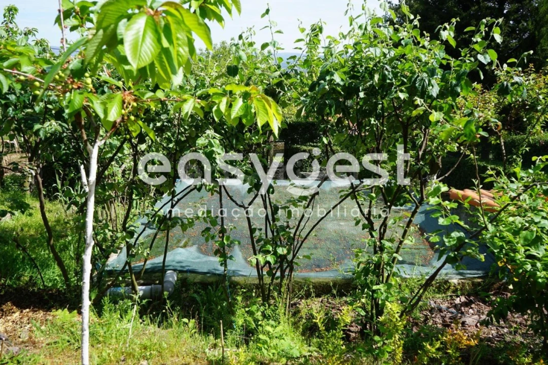 Terreno Misto para Venda em Rapa e Cadafaz Foto 46
