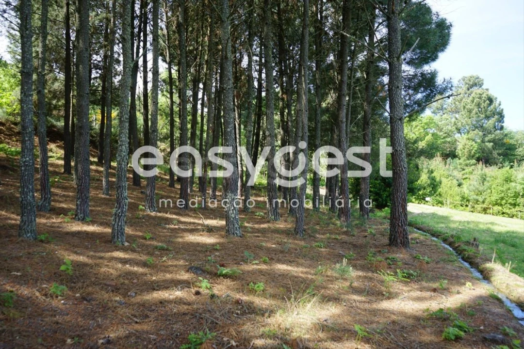 Terreno Misto para Venda em Rapa e Cadafaz Foto 47