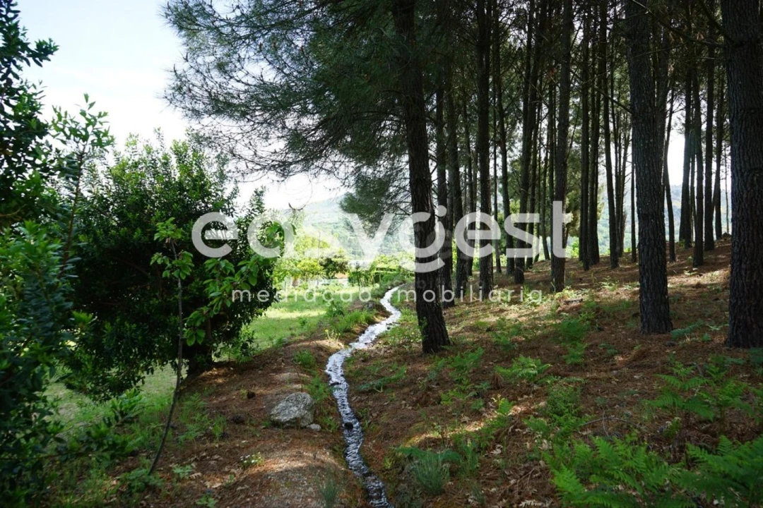 Terreno Misto para Venda em Rapa e Cadafaz Foto 48