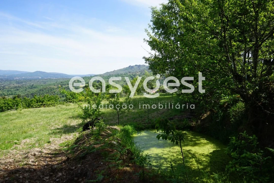 Terreno Misto para Venda em Rapa e Cadafaz Foto 49