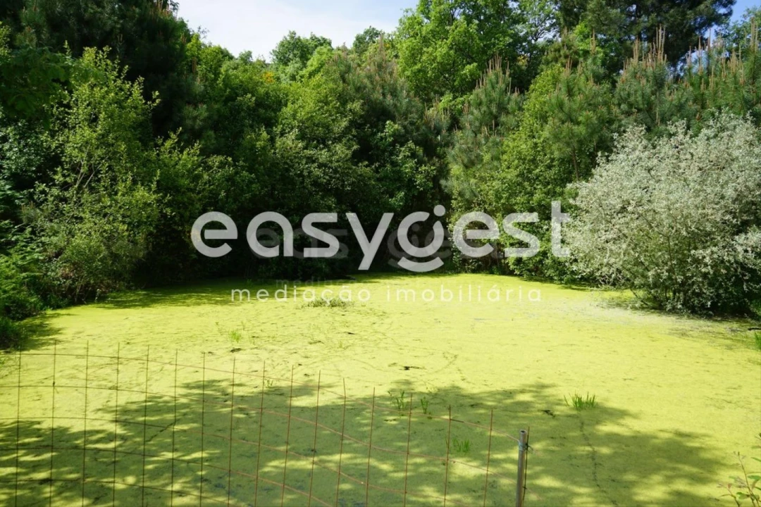 Terreno Misto para Venda em Rapa e Cadafaz Foto 52