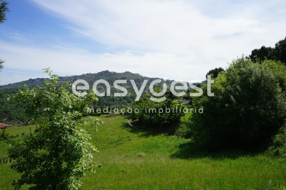 Terreno Misto para Venda em Rapa e Cadafaz Foto 53