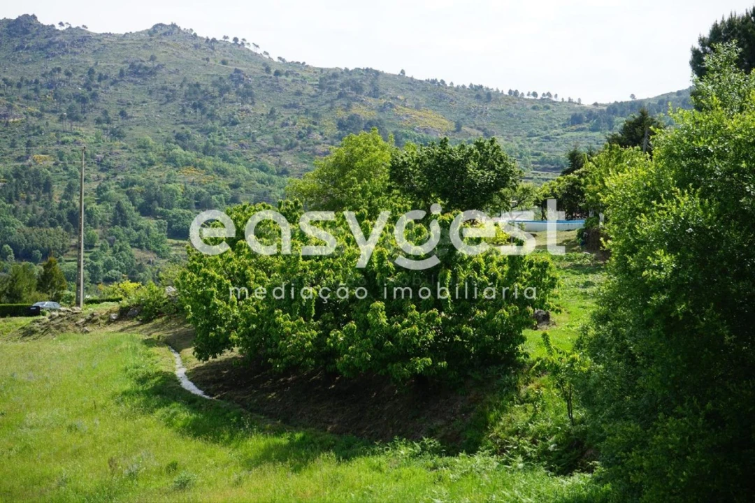 Terreno Misto para Venda em Rapa e Cadafaz Foto 54