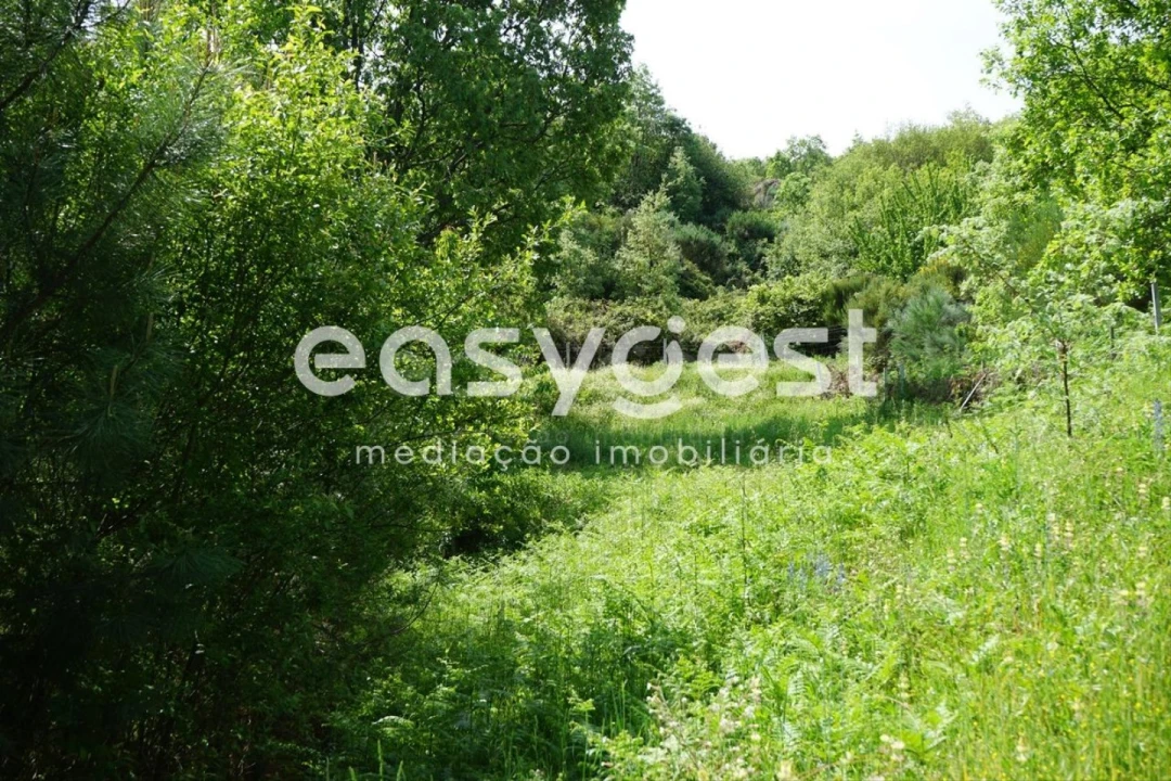 Terreno Misto para Venda em Rapa e Cadafaz Foto 55