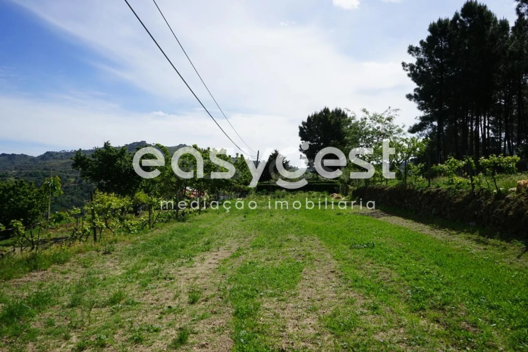 Terreno Misto para Venda em Rapa e Cadafaz Foto 56