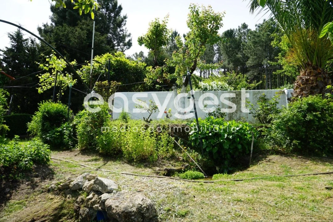 Terreno Misto para Venda em Rapa e Cadafaz Foto 62