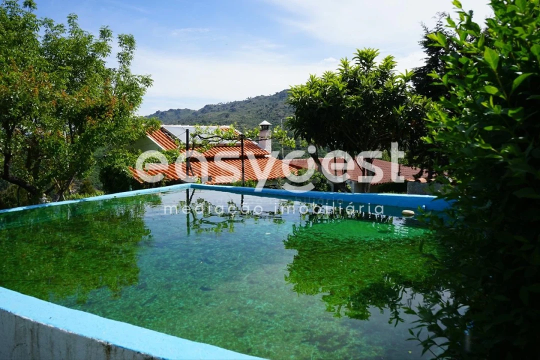 Terreno Misto para Venda em Rapa e Cadafaz Foto 64