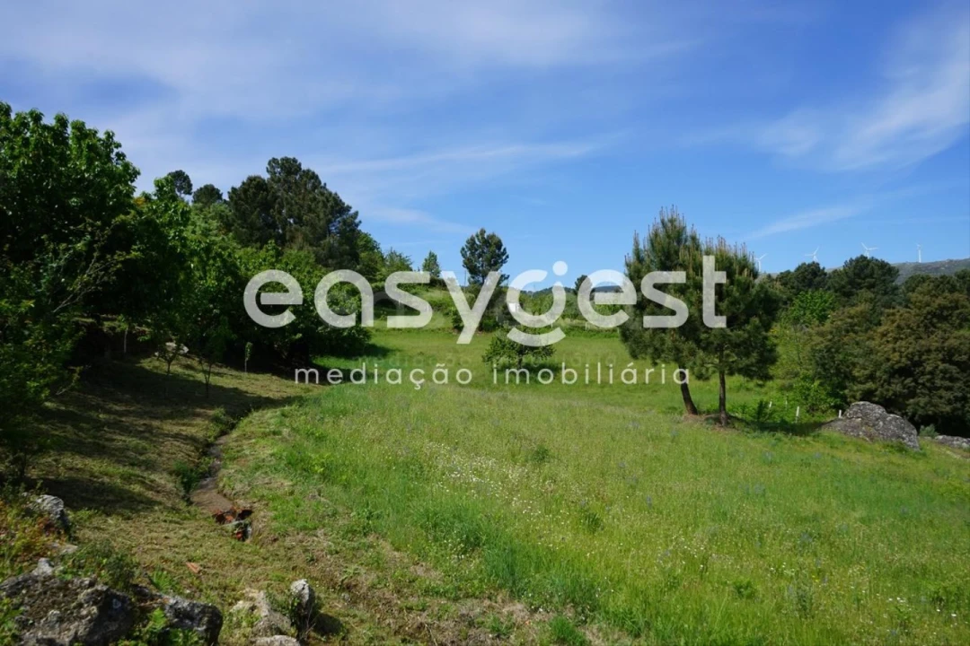 Terreno Misto para Venda em Rapa e Cadafaz Foto 66