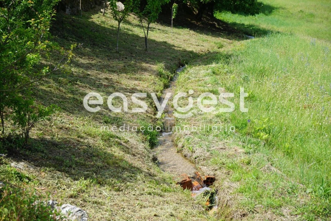 Terreno Misto para Venda em Rapa e Cadafaz Foto 67