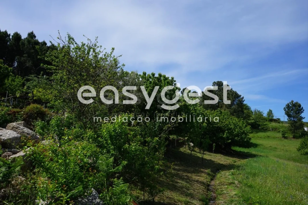 Terreno Misto para Venda em Rapa e Cadafaz Foto 69