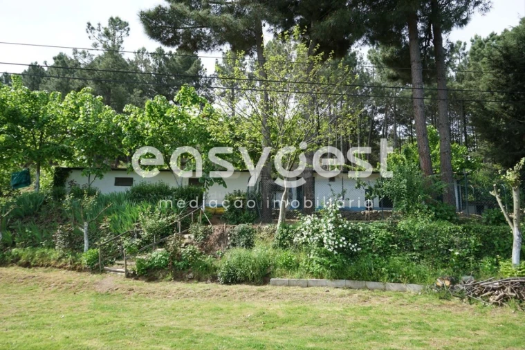 Terreno Misto para Venda em Rapa e Cadafaz Foto 21