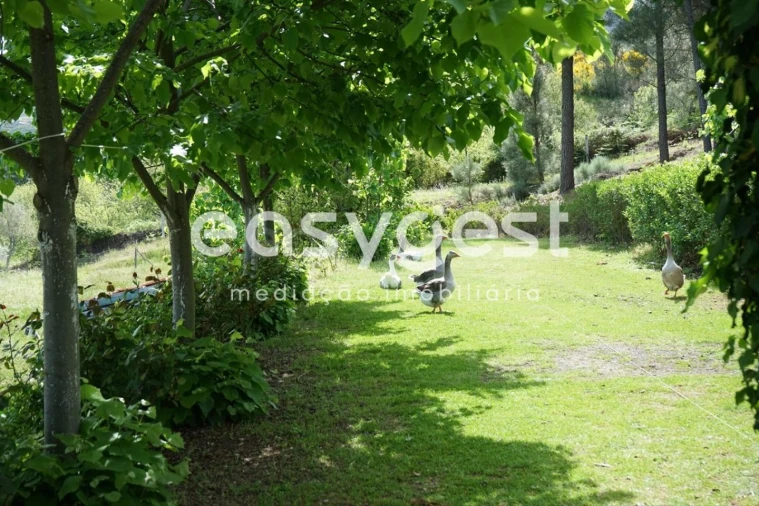 Terreno Misto para Venda em Rapa e Cadafaz Foto 26