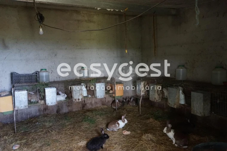 Terreno Misto para Venda em Rapa e Cadafaz Foto 27