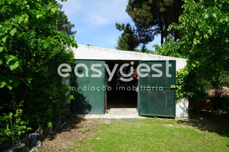 Terreno Misto para Venda em Rapa e Cadafaz Foto 31