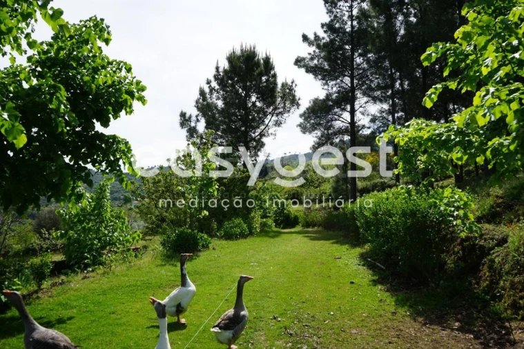 Terreno Misto para Venda em Rapa e Cadafaz Foto 32