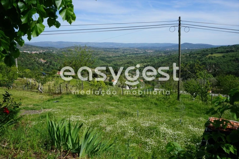 Terreno Misto para Venda em Rapa e Cadafaz Foto 38
