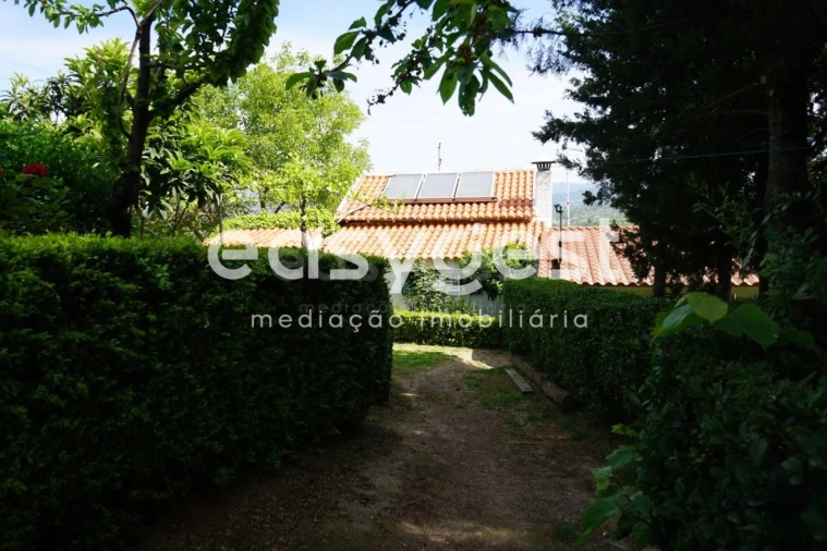 Terreno Misto para Venda em Rapa e Cadafaz Foto 39