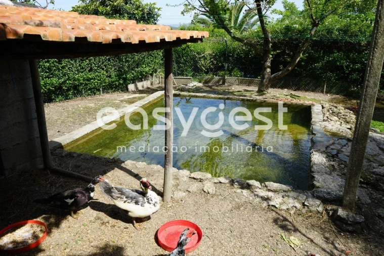 Terreno Misto para Venda em Rapa e Cadafaz Foto 42