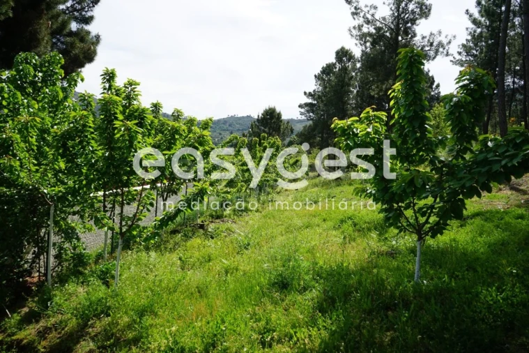 Terreno Misto para Venda em Rapa e Cadafaz Foto 45