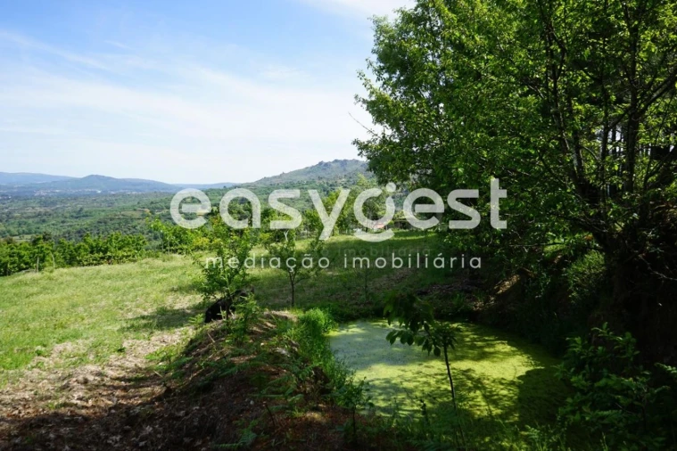 Terreno Misto para Venda em Rapa e Cadafaz Foto 49