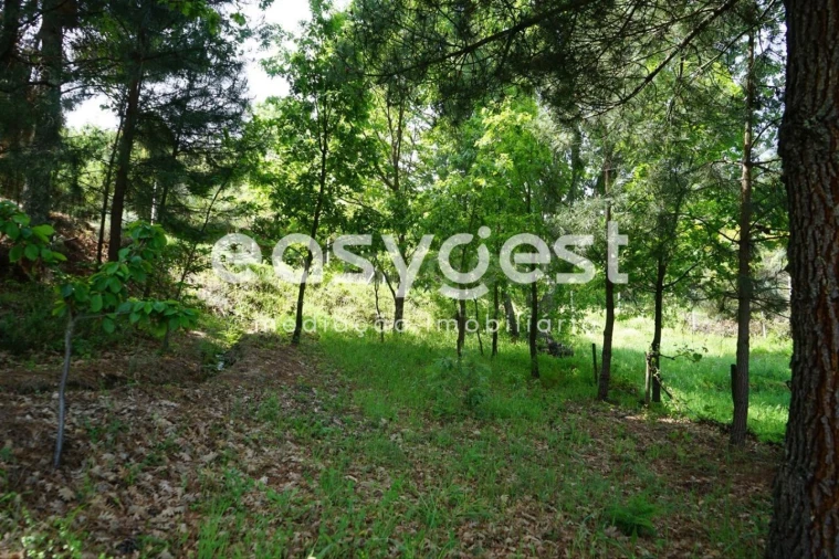 Terreno Misto para Venda em Rapa e Cadafaz Foto 50