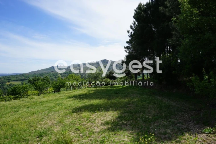 Terreno Misto para Venda em Rapa e Cadafaz Foto 51