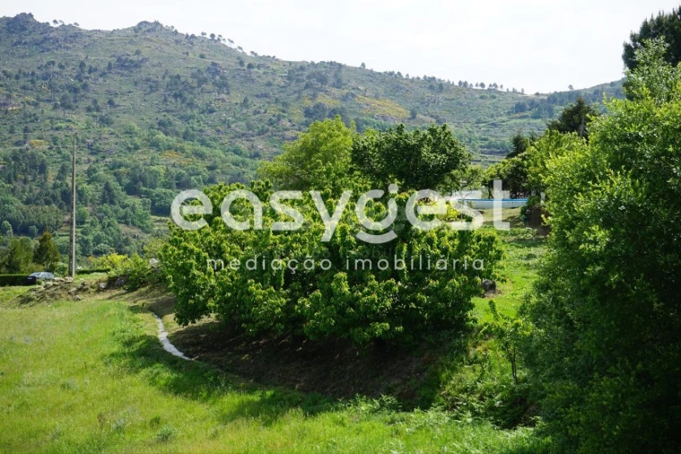 Terreno Misto para Venda em Rapa e Cadafaz Foto 54