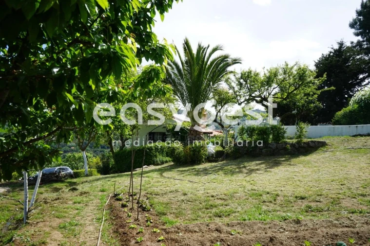 Terreno Misto para Venda em Rapa e Cadafaz Foto 58