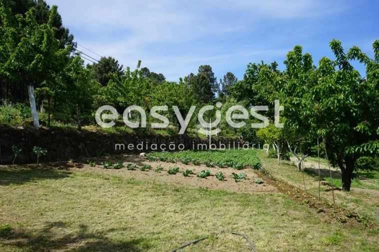 Terreno Misto para Venda em Rapa e Cadafaz Foto 59