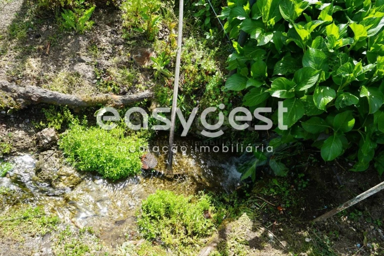 Terreno Misto para Venda em Rapa e Cadafaz Foto 63