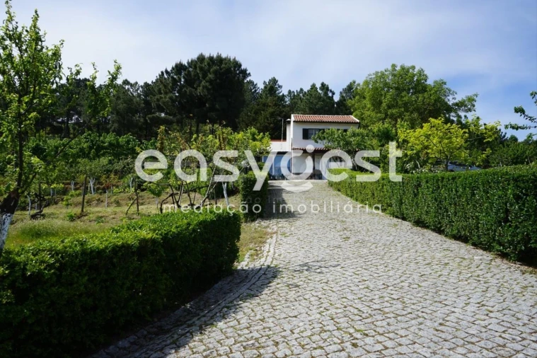 Terreno Misto para Venda em Rapa e Cadafaz Foto 72