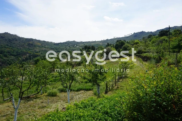 Terreno Misto para Venda em Rapa e Cadafaz Foto 75