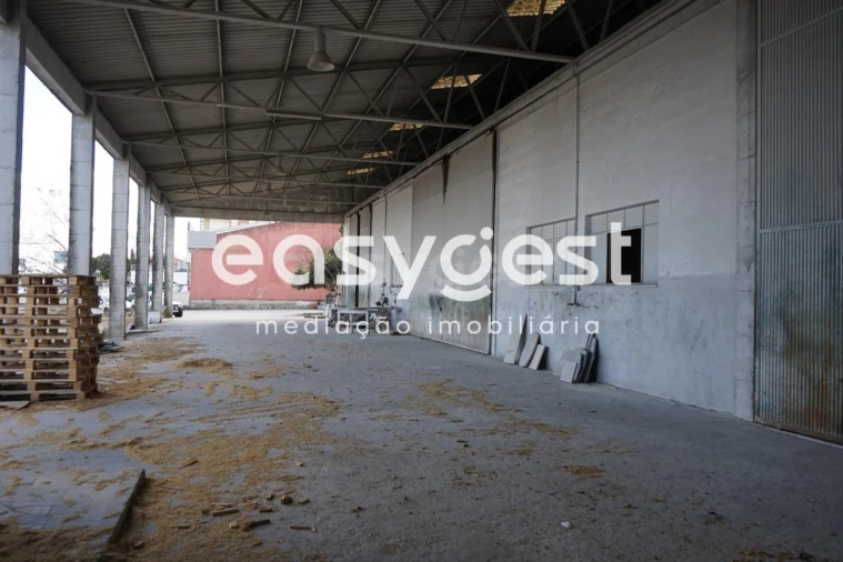 Terreno para Venda em Guarda Foto 5