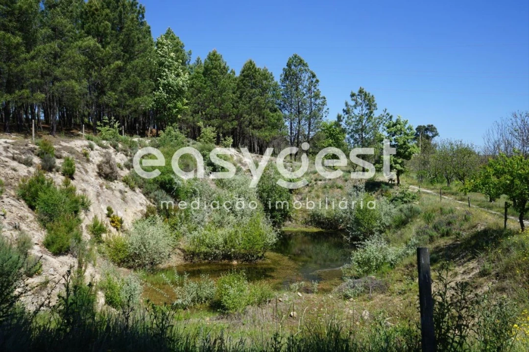 Terreno Agricola ou Rústico para Venda em Sortelha Foto 2