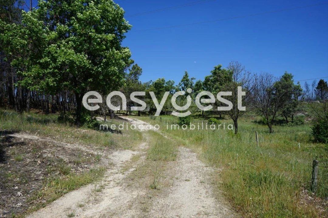 Terreno Agricola ou Rústico para Venda em Sortelha Foto 3