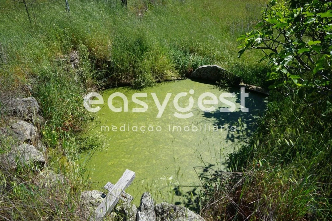 Terreno Agricola ou Rústico para Venda em Sortelha Foto 4