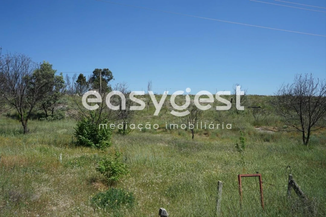 Terreno Agricola ou Rústico para Venda em Sortelha Foto 5