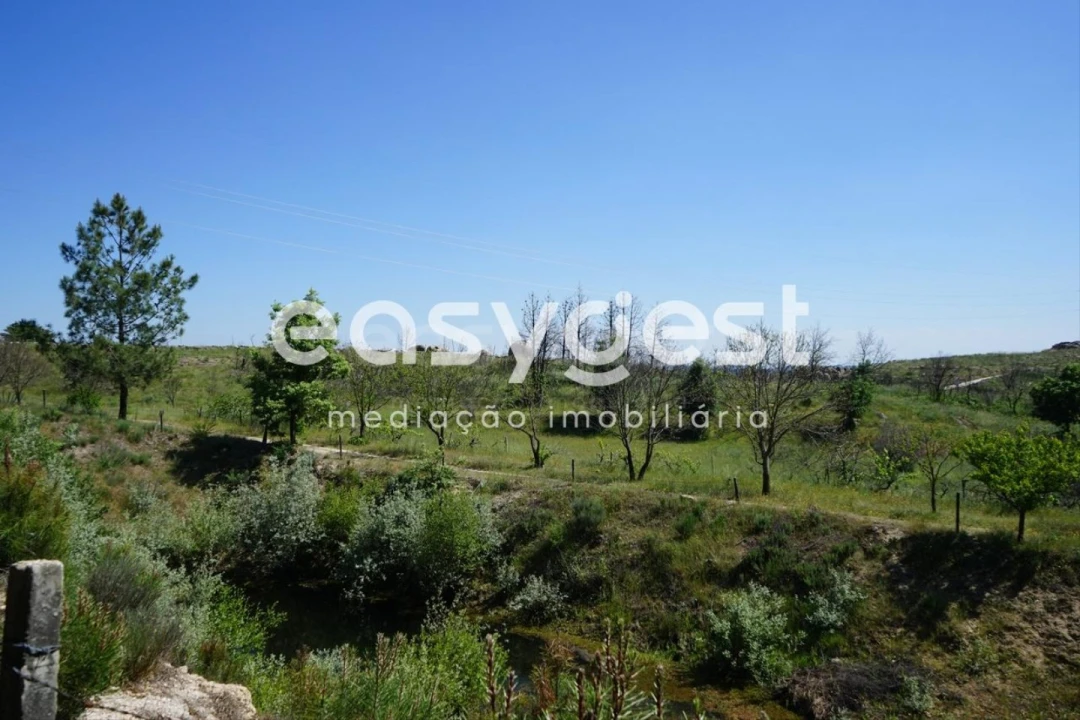 Terreno Agricola ou Rústico para Venda em Sortelha Foto 6
