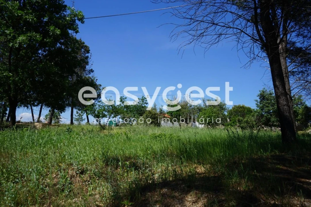 Terreno Agricola ou Rústico para Venda em Sortelha Foto 21