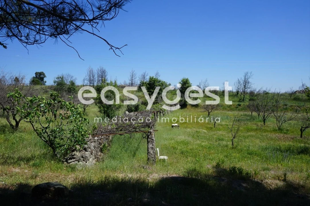 Terreno Agricola ou Rústico para Venda em Sortelha Foto 22
