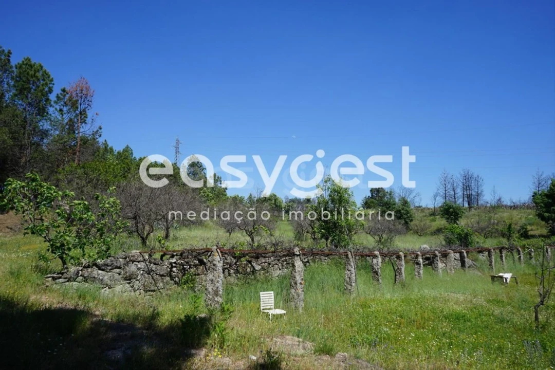 Terreno Agricola ou Rústico para Venda em Sortelha Foto 23